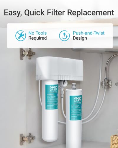 DW80 90 Water Filter Replacement for Aqua (2 Count)
