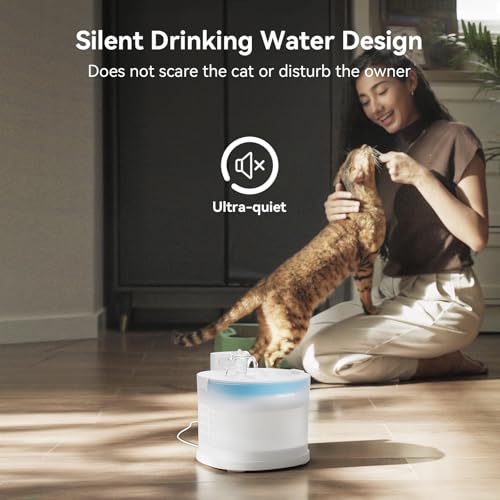 Pumpless Cat Water Fountain