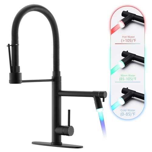 Matte Black Kitchen Faucet with Pull Down Sprayer LED Double