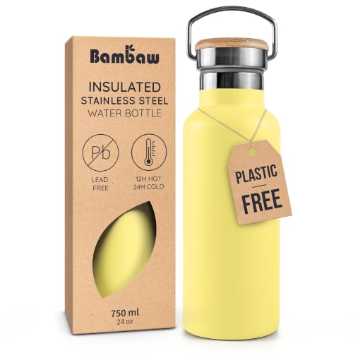 24 oz Insulated Water Bottle