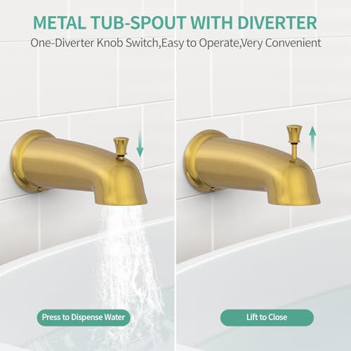 Dual 2 in 1 Shower System with Tub Spout