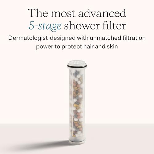 Handheld Shower Head Filter Replacement