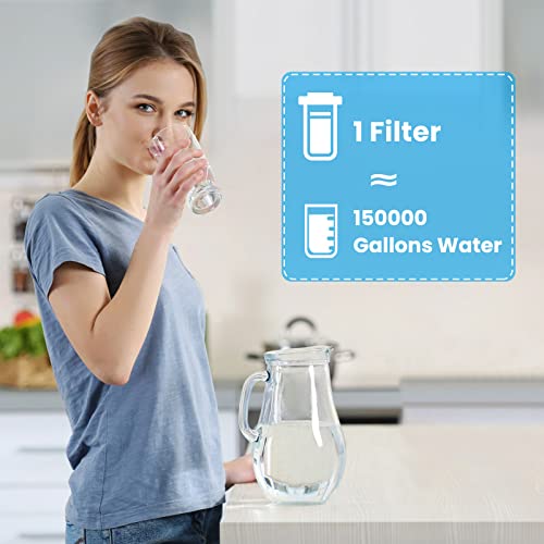10"x2.5" 5 Micron Carbon Water Filter (4 Count)