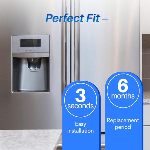 GSWF Refrigerator Water Filter (3 Count)
