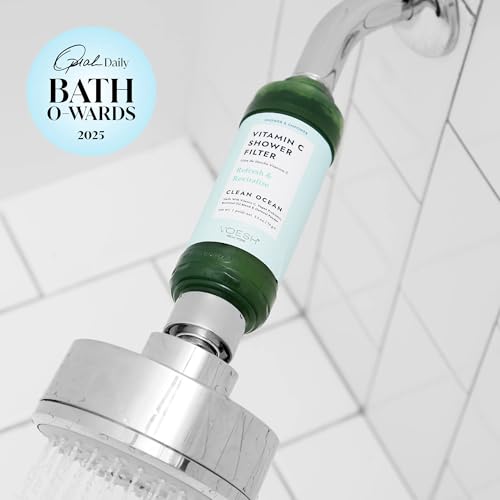 Vitamin C Shower Filter (2 Count)