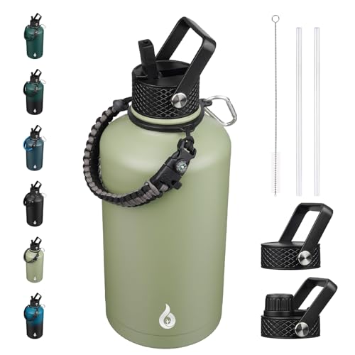 87oz Insulated Water Bottle with Straw Lid Stainless Steel Water Jug