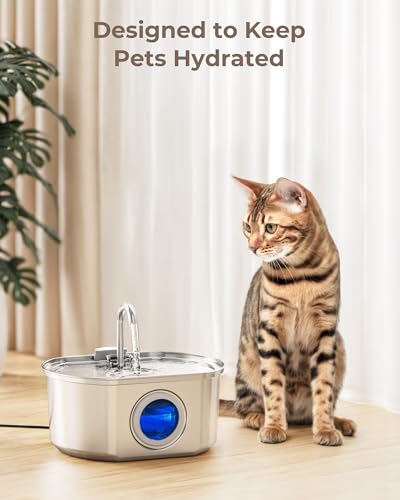 Official 12 Pack Replacement Filter Set for 108oz Cat Fountain