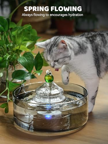 All Glass Cat Water Fountain