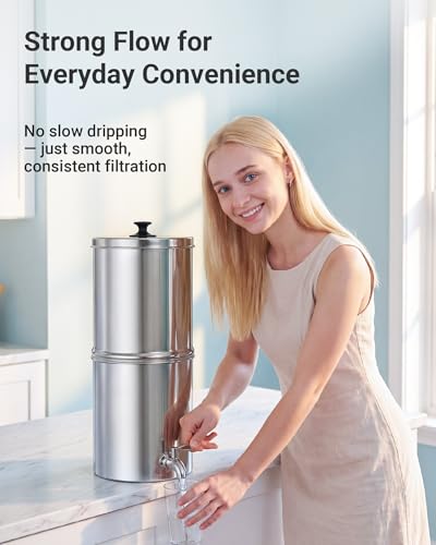 Gravity Water Filter (2 Count)