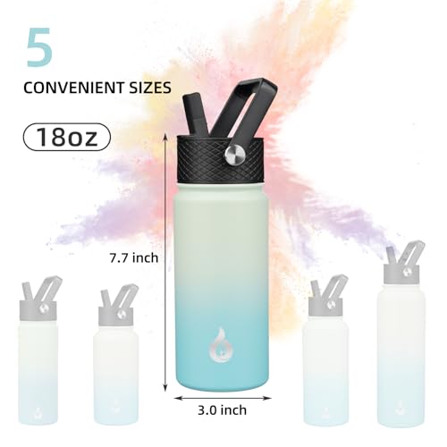 18oz Insulated Water Bottle with Straw Lid