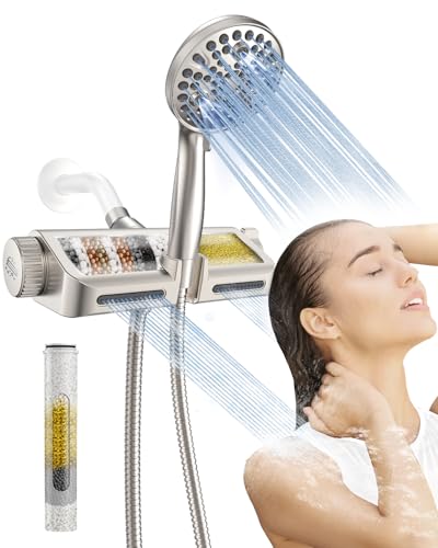 Filtered Shower Head with Handheld Combo Brushed Nickel