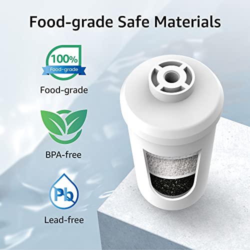 Fluoride Water Filter (2 Count)