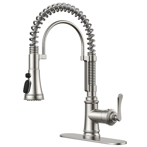 Kitchen Faucet with Pull Down Sprayer