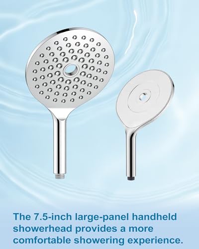 Handheld Shower Head with Filter 2