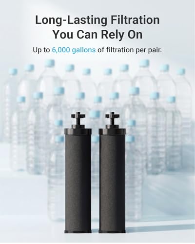 Gravity Water Filter (2 Count)