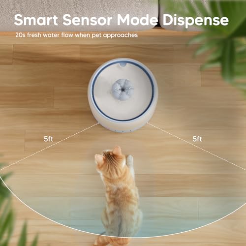 Wireless Cat Water Fountain