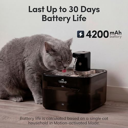 Cat Water Fountain Cordless