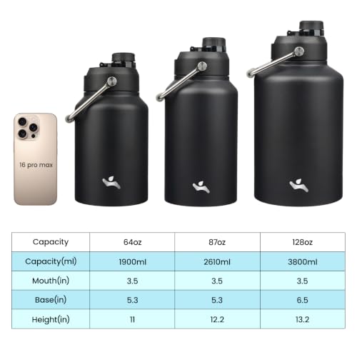 87 oz Insulated Stainless Steel Water Bottle Jug with Handle
