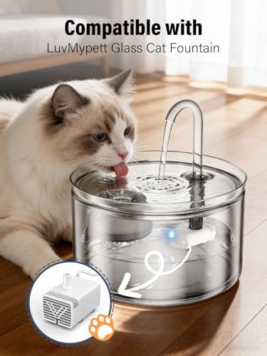 Glass Water Fountain Replacement Pump