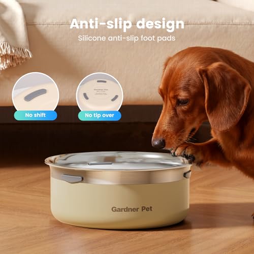Slow Water Bowl for Dogs