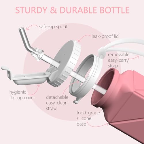 Collapsible Water Bottles 2 Pack (2 Count)