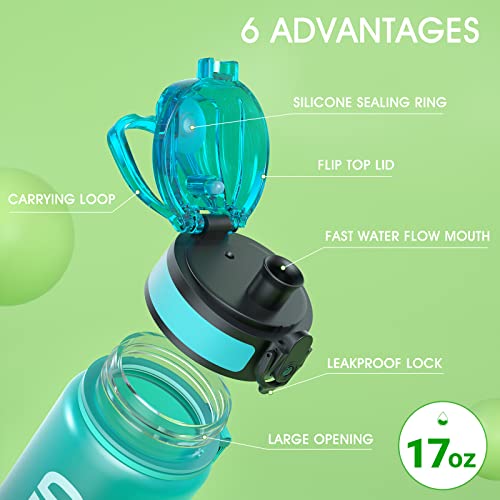 Water Bottle 17oz