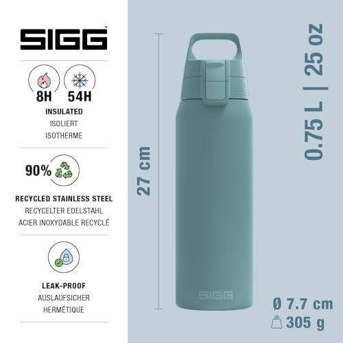 Insulated Water Bottle
