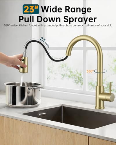 Vintage Kitchen Faucet