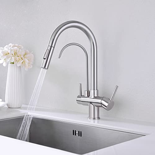 Kitchen Faucet with Pull Down Sprayer