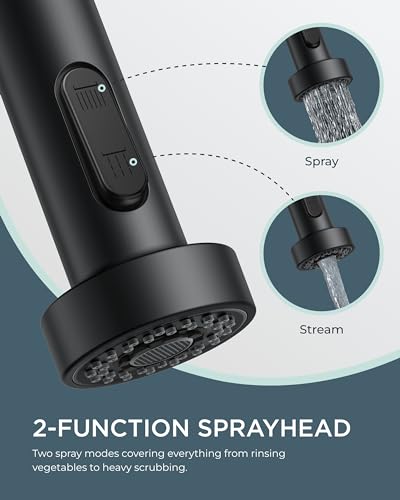 Black Kitchen Faucet with Purfied Water Filter