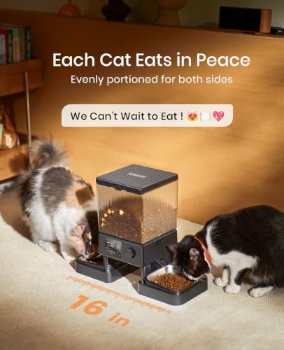 Automatic Cat Feeder for 2 Cats Pets