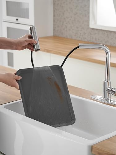 Kitchen Faucets with Pull Down Sprayer