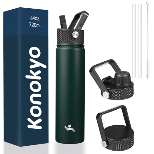 24 oz Insulated Stainless Steel Water Bottle with Straw Lid
