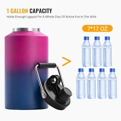 Insulated Gallon Jug with Handle