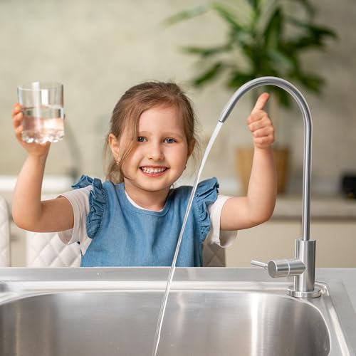 Stainless Steel Drinking Water Faucet