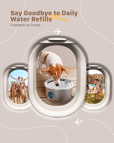 Pet Water Fountain for Large Dogs