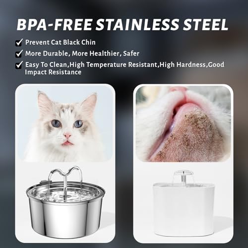 Cat Water Fountain
