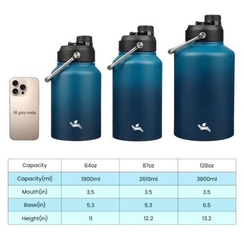 64 oz Insulated Stainless Steel Water Bottle Jug with Handle