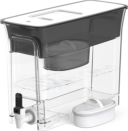 WFD 40L Water Filter Dispenser
