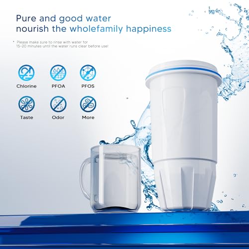 12 Pack Water Filter Replacement Zero (12 Count)