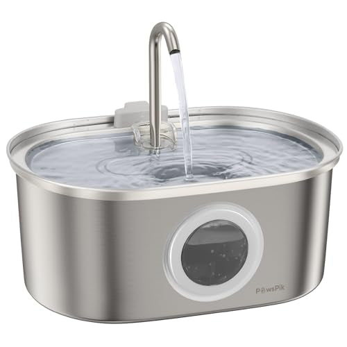 SS 01 Stainless Steel Faucet
