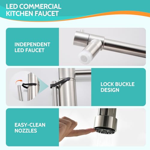 LED Kitchen Faucet with Pull Down Sprayer