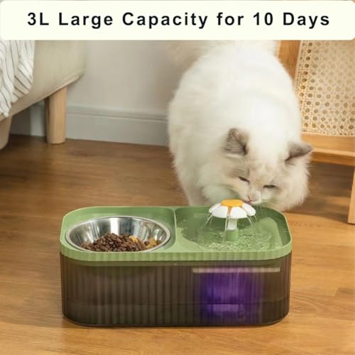 Cat Water Fountain and Stainless Steel Food Bowl (100 Fl Oz)