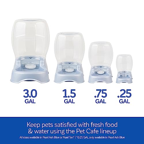 Pet Cafe Water Dispenser