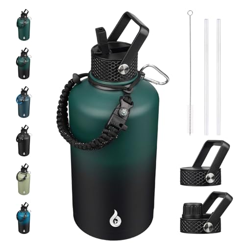 87oz Insulated Water Bottle with Straw Lid Stainless Steel Water Jug