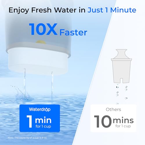 PT-09BL 10-Cup Large Glass Water Filter Pitcher, Eco-Friendly