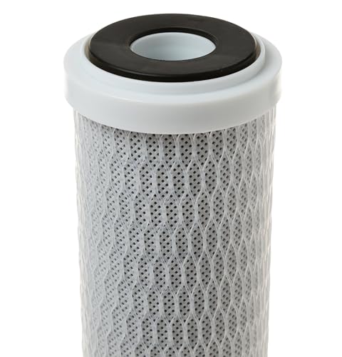 FX12P Under Sink Water Filter (2 Count)