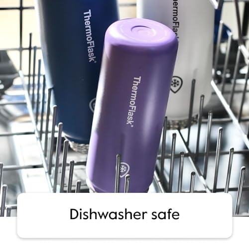Stainless Steel Water Bottles 2 (2 Count)