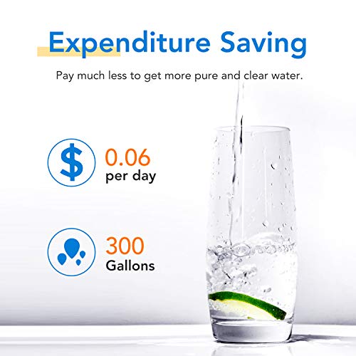 CS 52 Water Filter