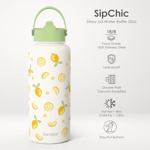 Lemon Water Bottle Stainless Steel 32oz with Lid & Straw